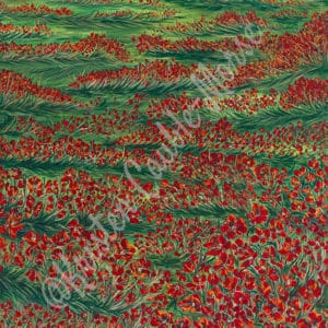 PAINTING paintings and prints for sale and gallery Poppies di Napoli